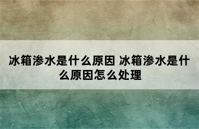 冰箱渗水是什么原因 冰箱渗水是什么原因怎么处理